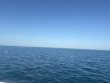Sunday December 28th 2025 Tropical Serenity: Benwood Wreck reef report photo 1