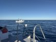 Saturday January 3rd 2026 Tropical Adventure: Spiegel Grove reef report photo 1