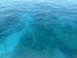 Friday May 1st 2026 Tropical Adventure: Five Caves reef report photo 1