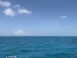 Tuesday June 16th 2026 Tropical Adventure: Coral Canyons reef report photo 1