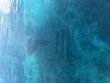 Wednesday July 1st 2026 Tropical Adventure: Christ Statue reef report photo 1