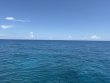 Wednesday July 1st 2026 Tropical Adventure: Permit Ledges reef report photo 1