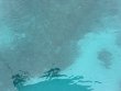 Thursday July 2nd 2026 Tropical Adventure: Pickles Reef reef report photo 1