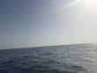Wednesday July 8th 2026 Tropical Adventure: Sand Bottom Cave reef report photo 1