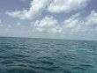 Wednesday July 8th 2026 Tropical Adventure: Anchor Chain reef report photo 1