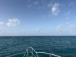 Thursday July 9th 2026 Tropical Adventure: Nine Channel reef report photo 1