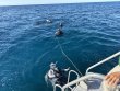 Friday January 2nd 2026 Tropical Destiny: French Reef reef report photo 1