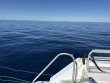 Saturday January 3rd 2026 Tropical Destiny: USCGC Duane reef report photo 1