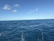 Friday January 9th 2026 Tropical Destiny: Benwood Wreck reef report photo 1