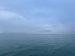 Friday January 23rd 2026 Tropical Destiny: Snapper Ledge reef report photo 1