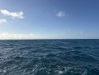 Sunday January 25th 2026 Tropical Destiny: Eagle Ray Alley reef report photo 1