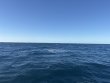 Friday February 6th 2026 Tropical Destiny: Spiegel Grove reef report photo 1
