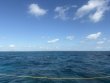 Tuesday February 17th 2026 Tropical Destiny: Eagle Ray Alley reef report photo 1