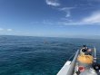 Saturday February 21st 2026 Tropical Destiny: Molasses Reef reef report photo 1