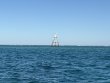Wednesday February 25th 2026 Tropical Destiny: Eagle Ray Alley reef report photo 1