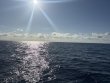 Monday March 23rd 2026 Tropical Destiny: USCGC Duane reef report photo 1