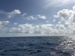 Friday May 22nd 2026 Tropical Destiny: Spiegel Grove reef report photo 1