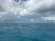 Friday May 22nd 2026 Tropical Destiny: CRF Nursery reef report photo 1