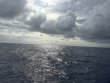 Wednesday June 10th 2026 Tropical Destiny: USCGC Bibb reef report photo 1