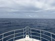 Wednesday June 10th 2026 Tropical Destiny: Drift Conch Wall reef report photo 1