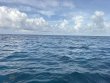 Thursday June 11th 2026 Tropical Destiny: Logans Run reef report photo 1