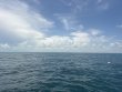 Thursday June 11th 2026 Tropical Destiny: Benwood Wreck reef report photo 1