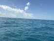 Wednesday July 22nd 2026 Tropical Destiny: Benwood Wreck reef report photo 1