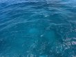 Thursday July 23rd 2026 Tropical Destiny: Sand Bottom Cave reef report photo 1