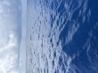 Friday July 24th 2026 Tropical Destiny: Spiegel Grove reef report photo 1