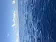 Sunday July 26th 2026 Tropical Destiny: Spiegel Grove reef report photo 1