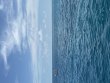 Friday August 7th 2026 Tropical Destiny: Drift Molasses reef report photo 1