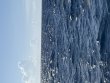 Saturday August 8th 2026 Tropical Destiny: Drift Molasses reef report photo 1