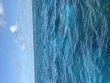 Monday August 10th 2026 Tropical Destiny: Eagle Ray Alley reef report photo 1