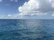 Tuesday August 11th 2026 Tropical Destiny: Molasses Reef reef report photo 1