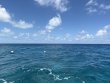 Tuesday August 11th 2026 Tropical Destiny: Wellwood reef report photo 1