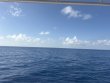 Wednesday August 12th 2026 Tropical Destiny: Molasses Reef reef report photo 1