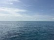 Saturday February 28th 2026 Tropical Legend: Benwood Wreck reef report photo 1