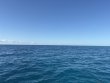 Sunday March 22nd 2026 Tropical Legend: Benwood Wreck reef report photo 1
