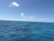 Friday April 17th 2026 Tropical Legend: Hard Bottom Cave reef report photo 1