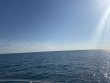 Monday April 20th 2026 Tropical Legend: Eagle Ray Alley reef report photo 1