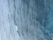 Friday April 24th 2026 Tropical Legend: French Reef reef report photo 1