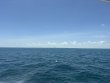 Saturday May 9th 2026 Tropical Legend: Benwood Wreck reef report photo 1