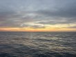 Saturday May 9th 2026 Tropical Legend: Benwood Wreck reef report photo 1