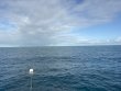 Wednesday January 7th 2026 Tropical Odyssey: Nine Channel reef report photo 1