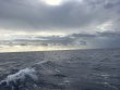 Thursday January 15th 2026 Tropical Odyssey: USCGC Duane reef report photo 1