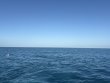 Monday January 26th 2026 Tropical Odyssey: Spiegel Grove reef report photo 1