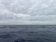 Wednesday January 28th 2026 Tropical Odyssey: Spiegel Grove reef report photo 1