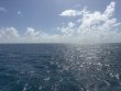 Tuesday March 3rd 2026 Tropical Odyssey: JJs Cave reef report photo 1