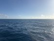 Tuesday March 10th 2026 Tropical Odyssey: Spiegel Grove reef report photo 1