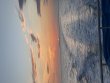 Saturday March 14th 2026 Tropical Odyssey: Benwood Wreck reef report photo 1